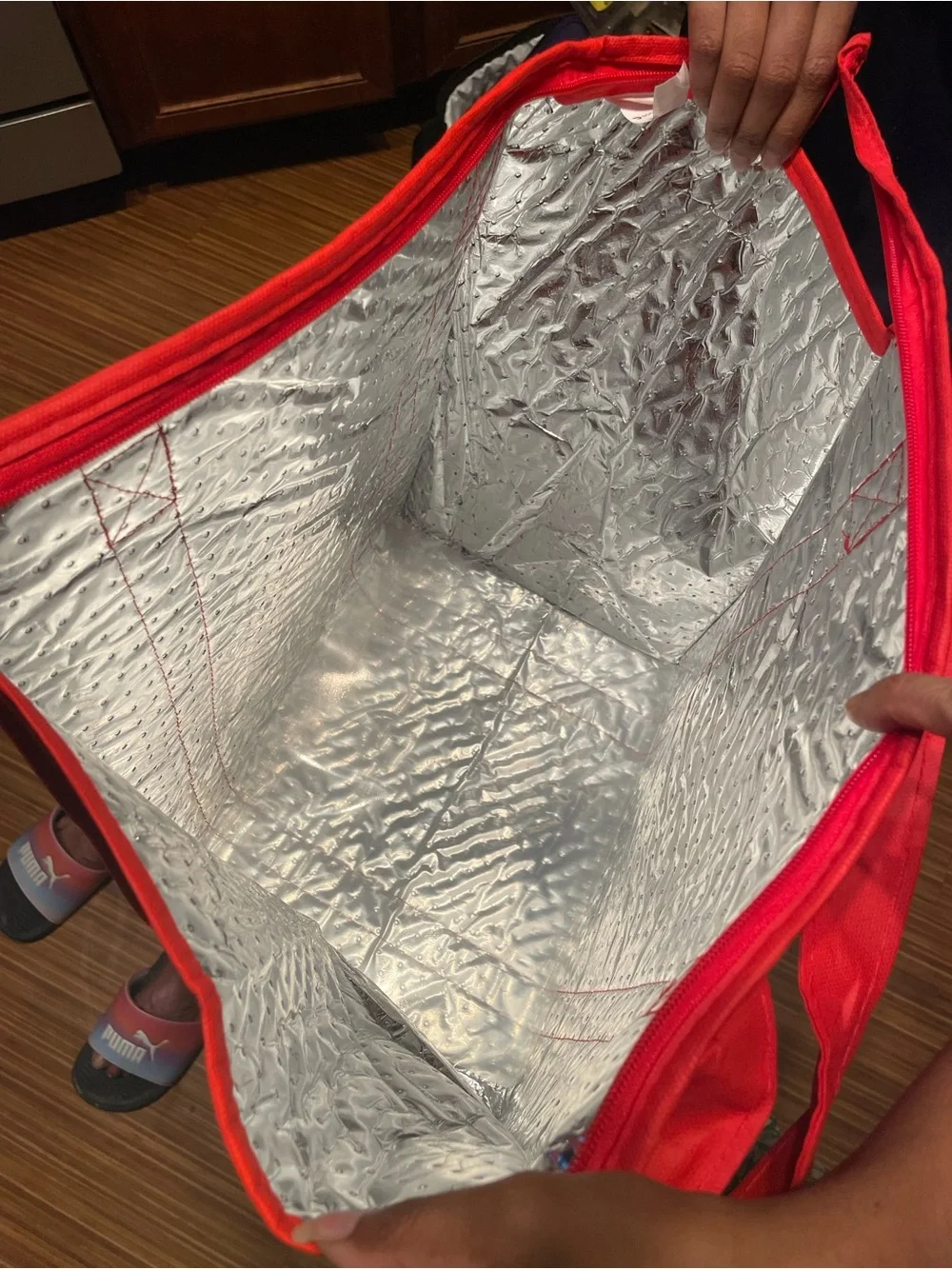 NWOT Insulated Tote Bag
